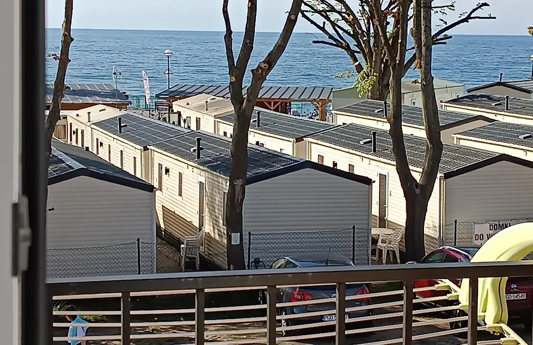 Delfin -przy plaży, widok na morze-1