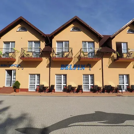 Delfin -przy plaży, widok na morze-3
